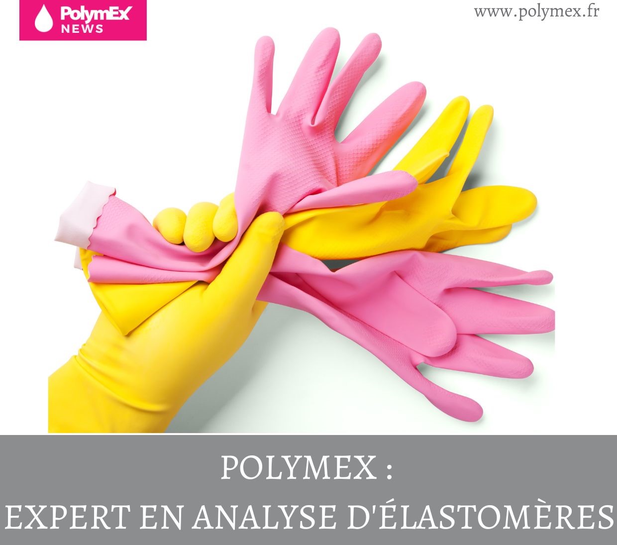 Polymex : Expert en analyse d’élastomères !